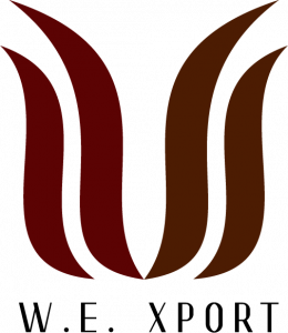 Final_Design_150x150